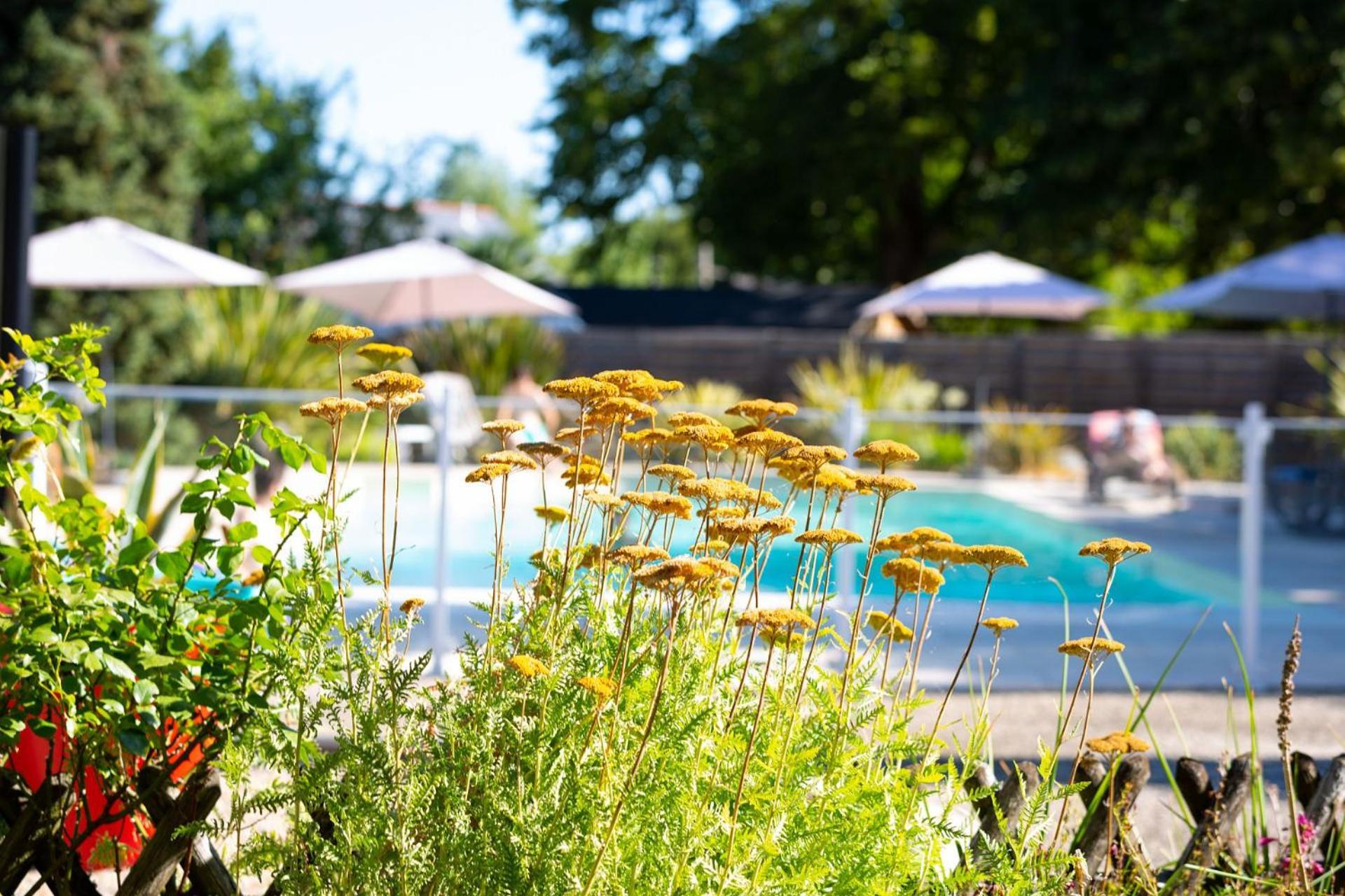 Hotel Mileade Le Domaine De La Blairie - Saumur Saint-Martin-de-la-Place Exteriér fotografie