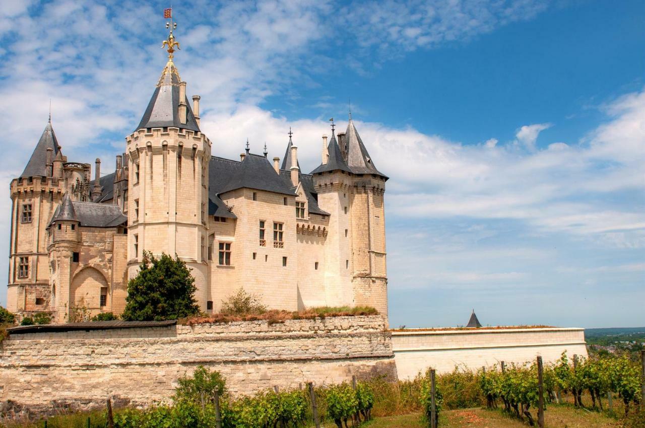 Hotel Mileade Le Domaine De La Blairie - Saumur Saint-Martin-de-la-Place Exteriér fotografie